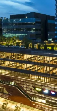 新加坡GIP全球投资者计划