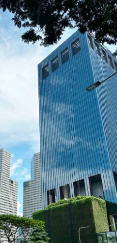 新加坡LTVP长期探访签证