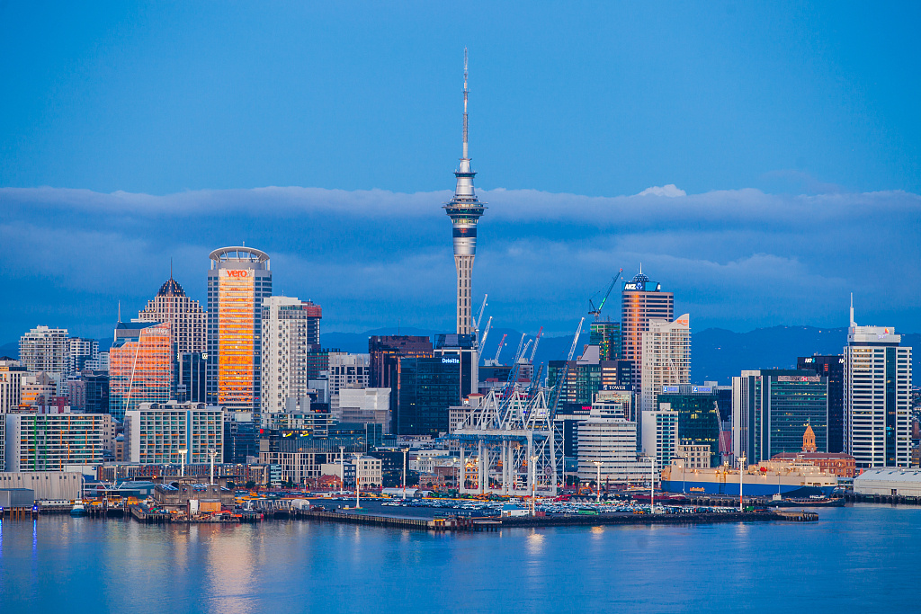 新西兰技术移民成功案例